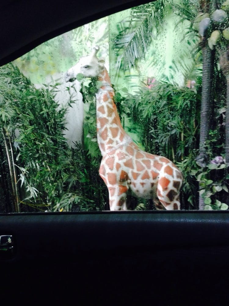 Green Forest Car Wash 55 Photos & 94 Reviews Car Wash 4649 W Rosecrans Ave, Hawthorne, CA