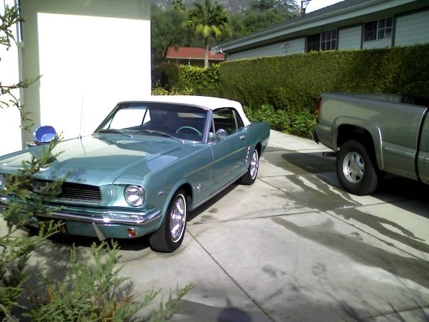 Spectrum Automotive