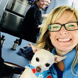 kimberly's pampered pets