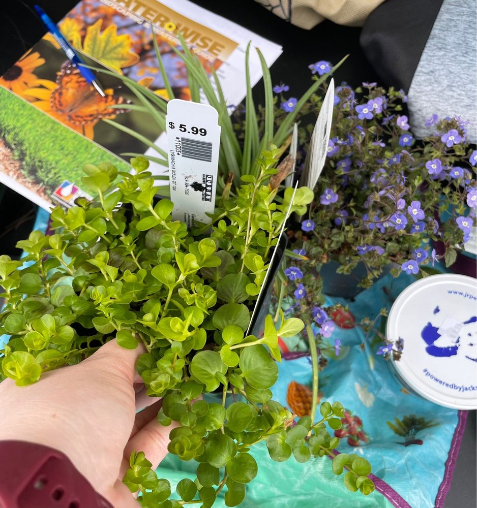 Durham Garden Center