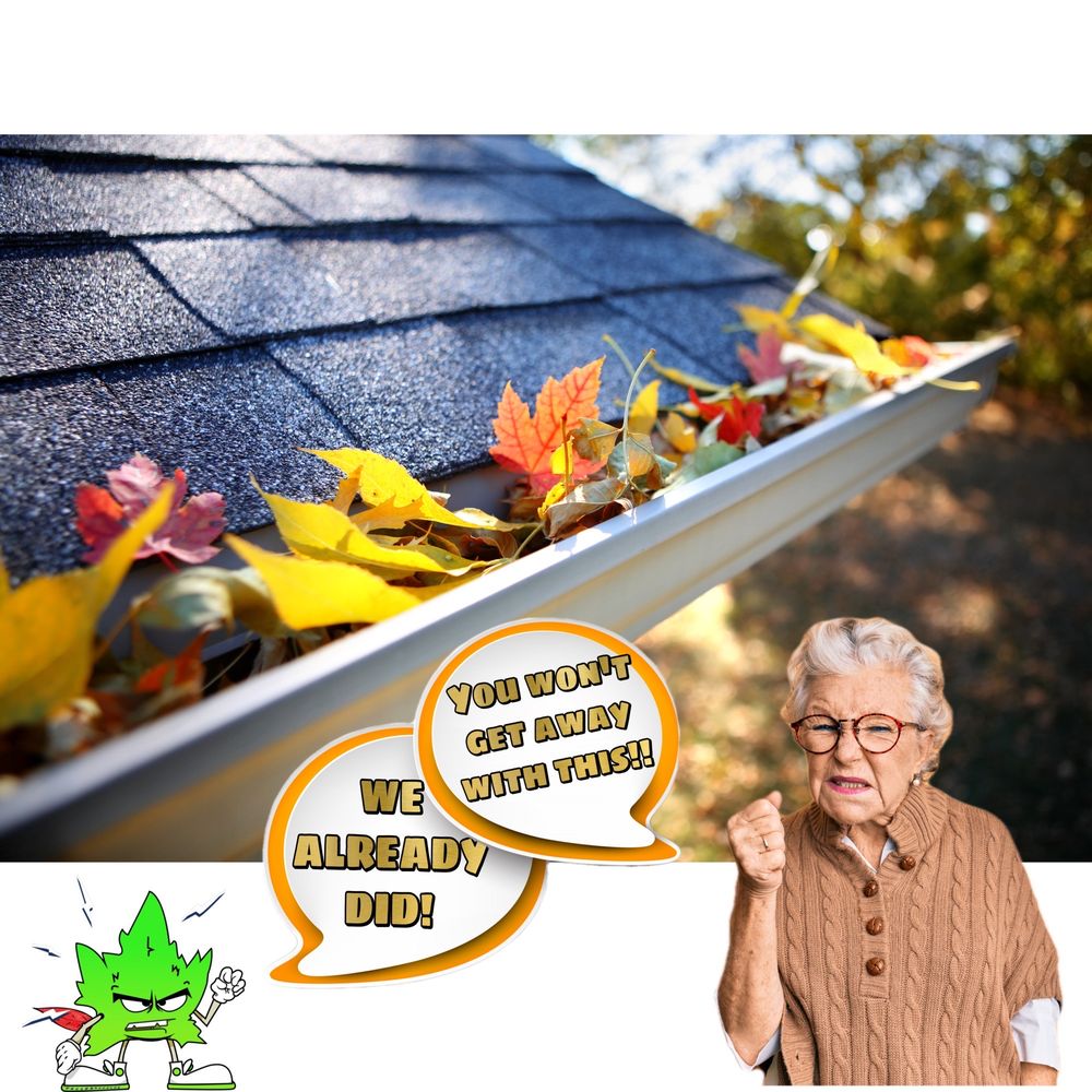 image of business Fuller Roofing