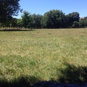 Photo of Parc de Gerland - Lyon, France. Même le dimanche en été, plein d'espace pour faire bronzette.