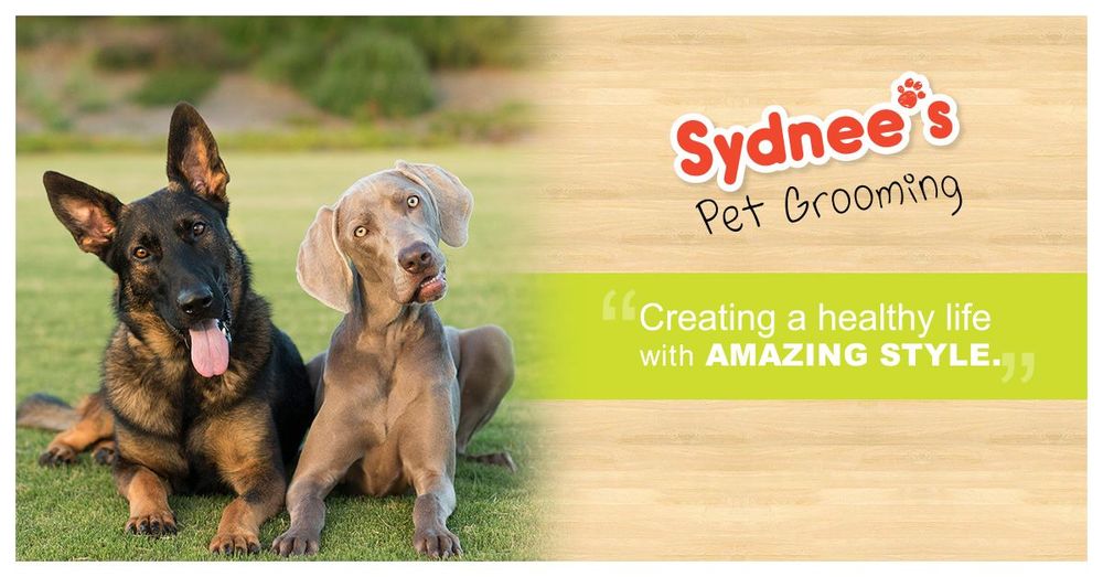 Dog Leash La Petique Dog Grooming Salon Seven Dogs Salon Dog