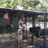 Dog Kennels On Staten Island Ny Dog Kennels On Staten Island Ny