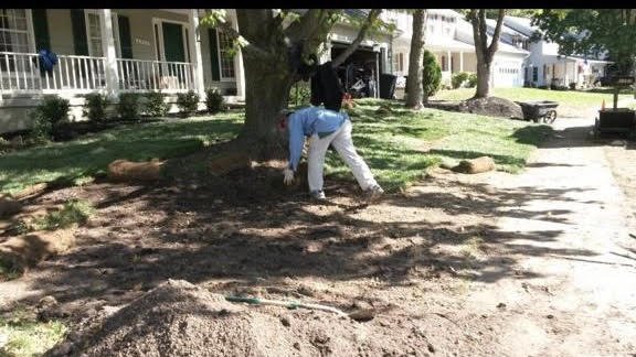 Amada Landscaping
