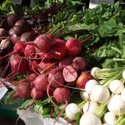 Voting For Dane County Farmers Market >> Dane County Farmer S Market 453 Photos 279 Reviews Farmers Voting For Dane County Farmers Market >> Dane County Farmer S Market 453 Photos 279 Reviews Farmers