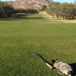 Rio Rico Resort Country Club Golf 1123 Pendelton Dr Photo Of Rio Rico Resort Country Club Az United States