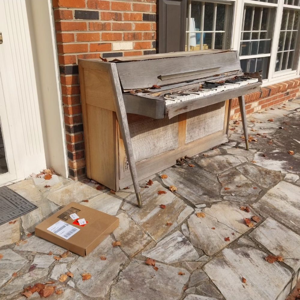 Junk Dogs Trash Removal