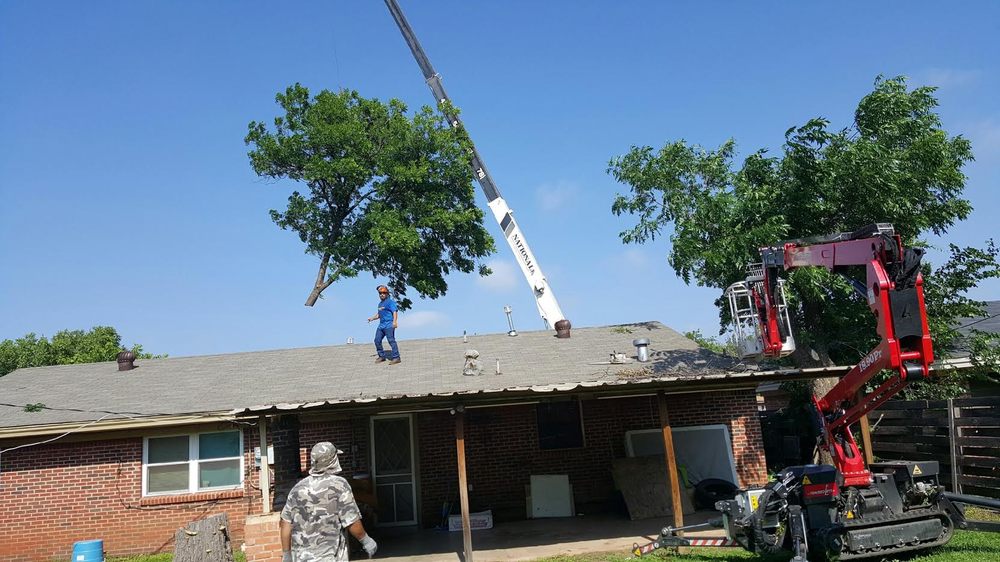 A Cutt Above Tree Service