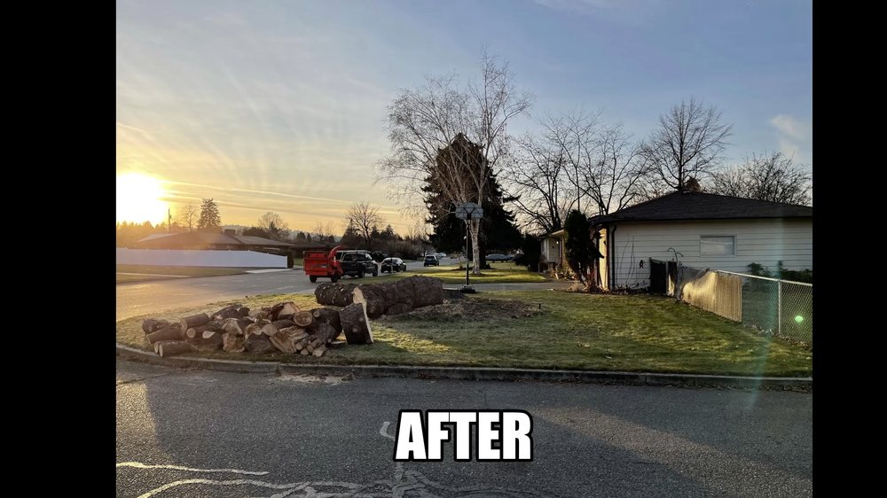 Blake's Tree Service