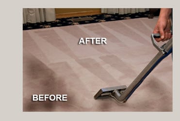 Mike's Carpet Cleaning