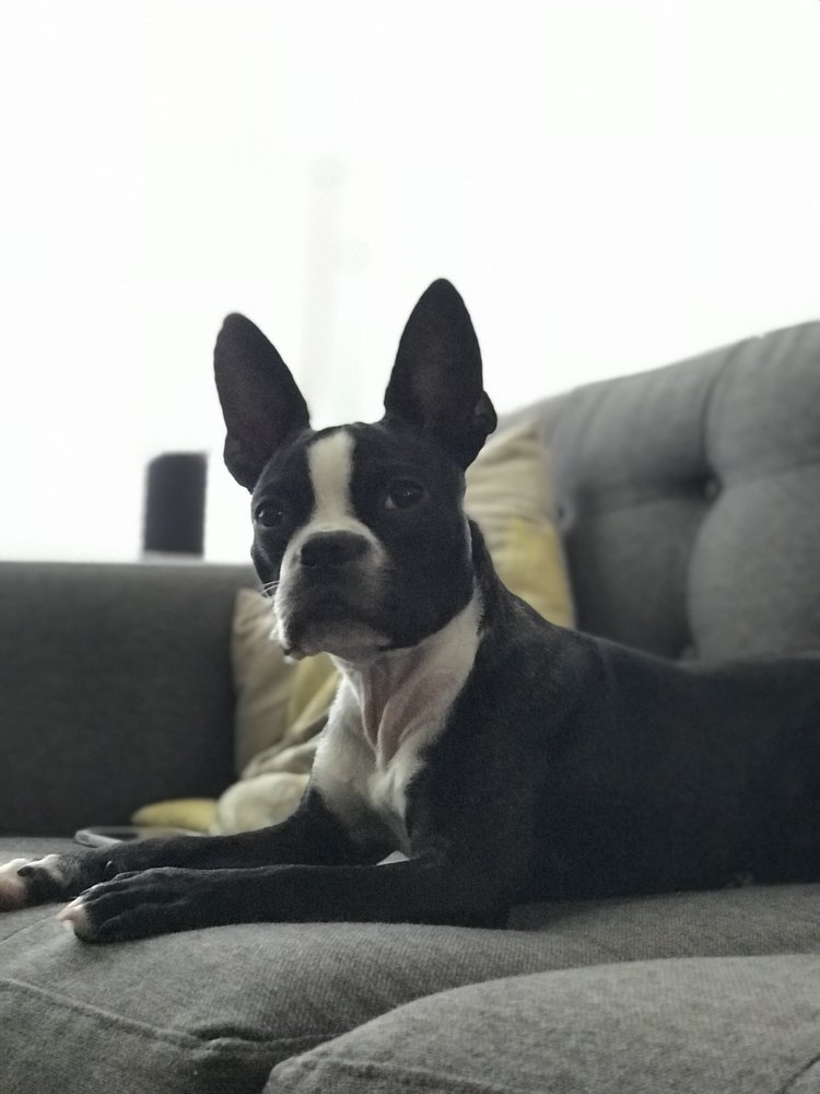 meet gus t h