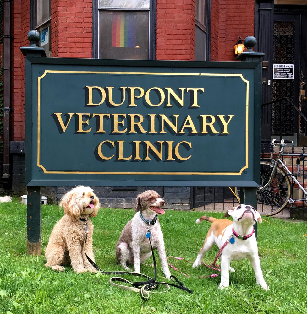 photos for dupont veterinary
