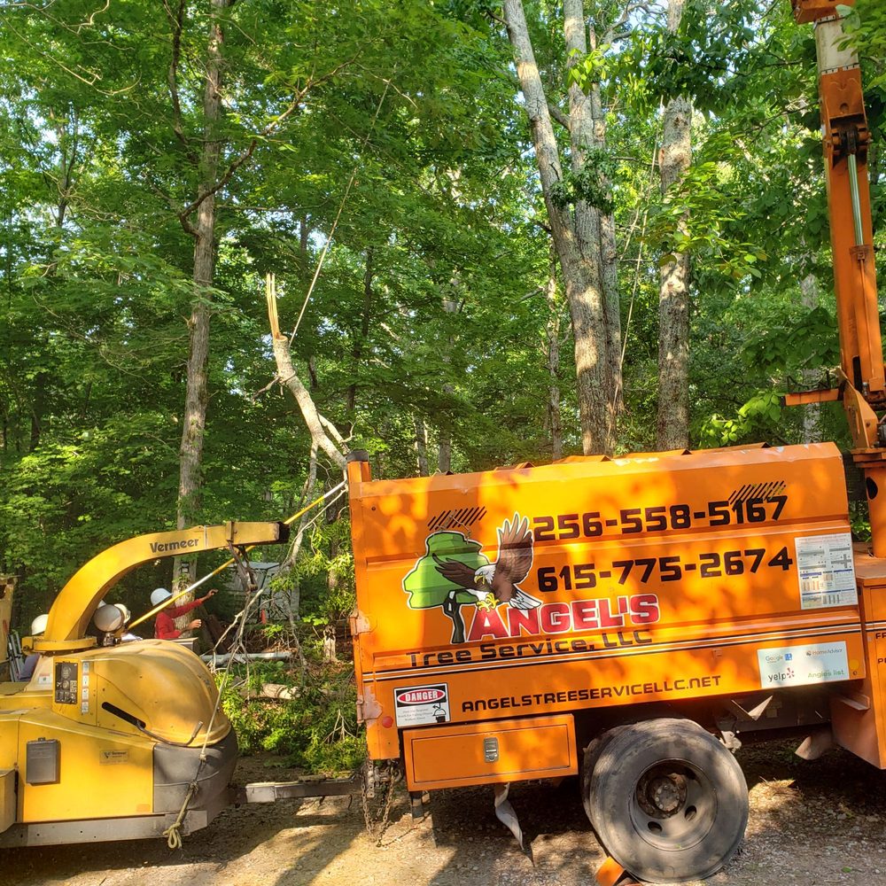 Angel Tree Service