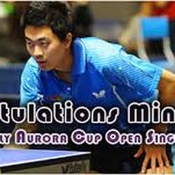 Ping Pong Atlanta Ga Last Updated December 2018 Yelp Atlanta International Table Tennis Academy