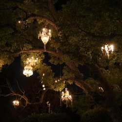 Chandelier Tree 529 Photos 175 Reviews Public Art 2811 W Photo Of Chandelier Tree Los Angeles Ca United States