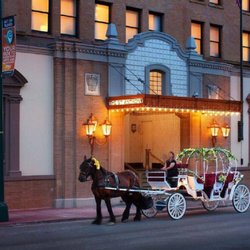Yellow rose carriages san antonio