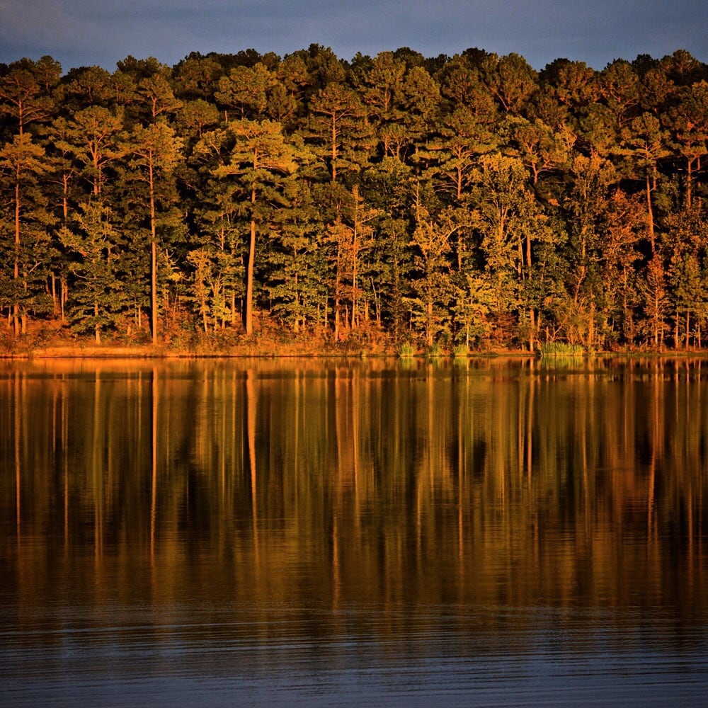 Harris Lake County Park 11 Reviews Recreation Centers 2112 County