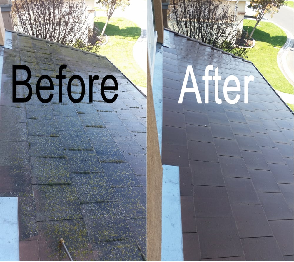 MG Window & Cleaning