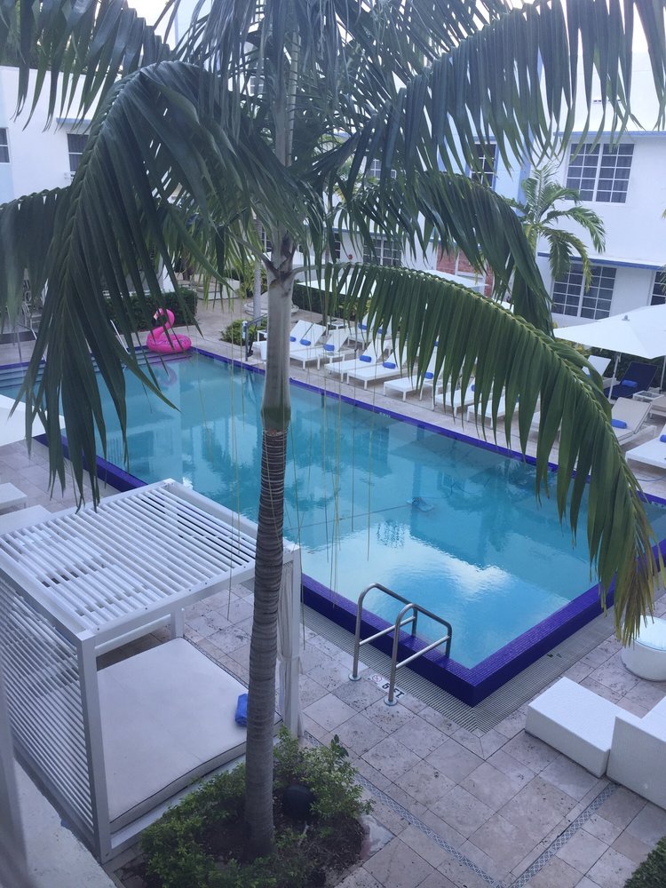 They Even Have A Pink Flamingo Yelp Photo Of Pestana South Beach Miami Fl United States They Even