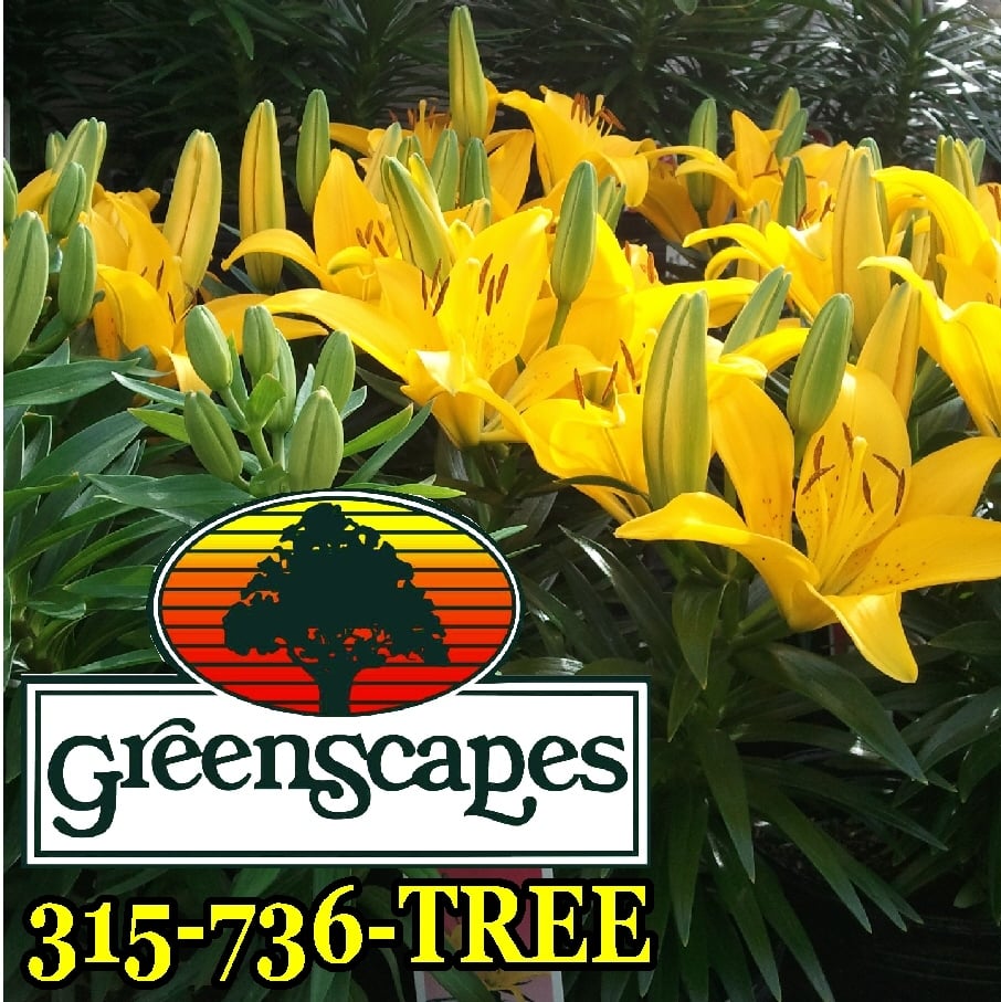 Greenscapes Garden Center & Landscape Co