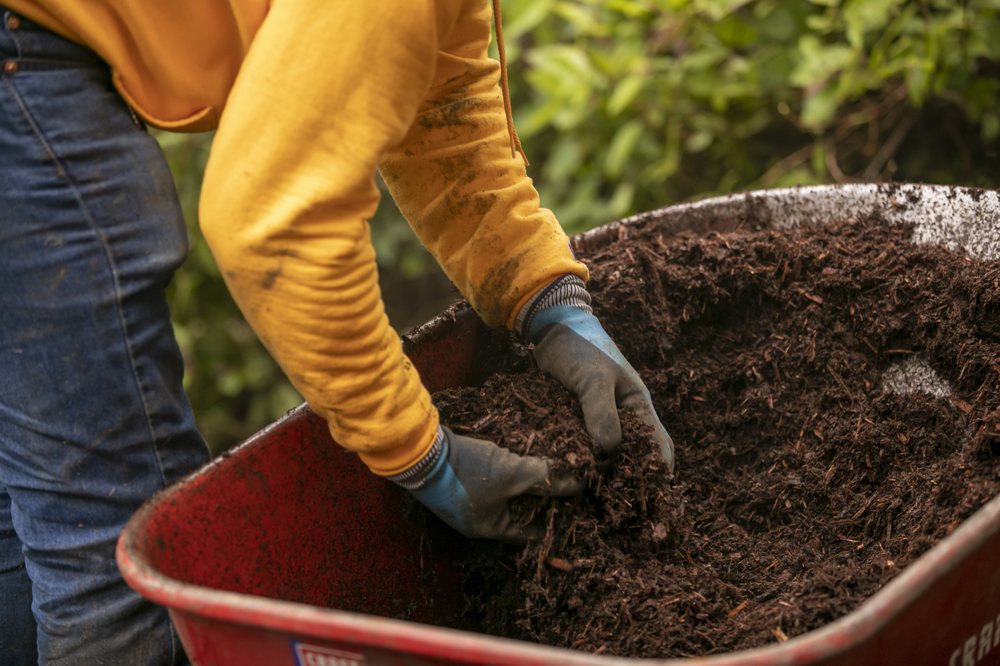 Cooper’s Landscape