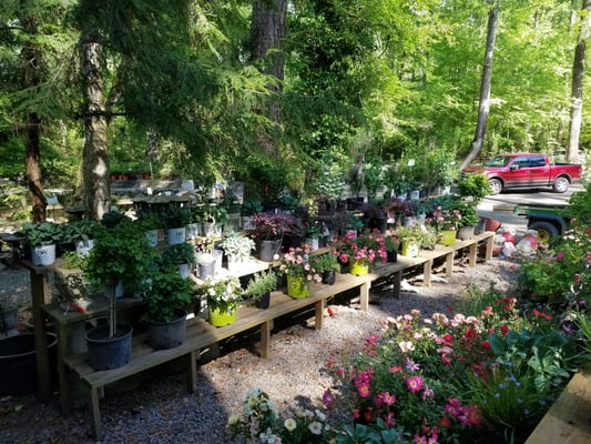Twin Branch Nursery Landscape 1169 W Wylie Bridge Rd Woodstock Ga Reviews