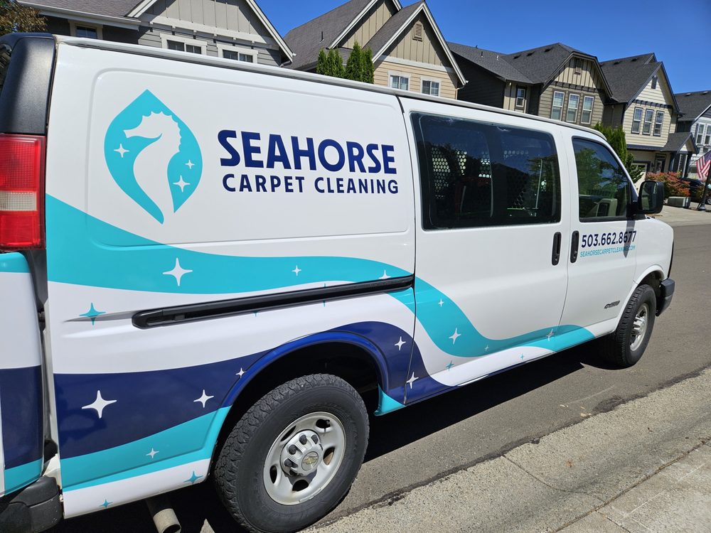 Seahorse Carpet Cleaning