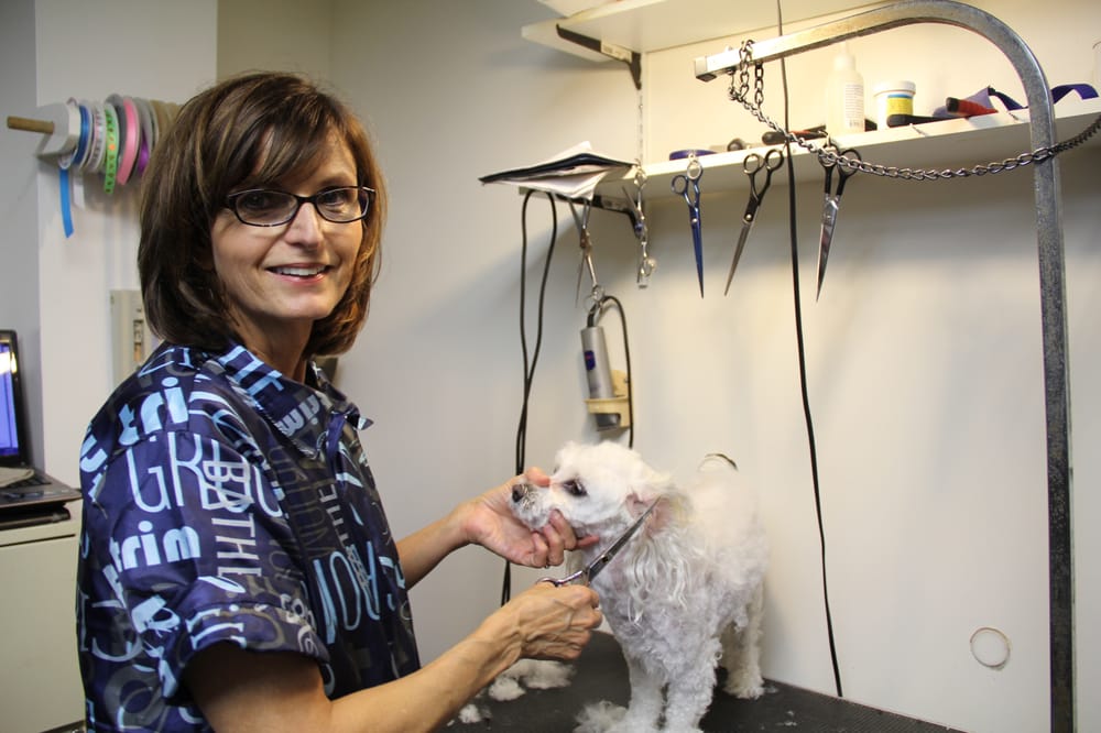 Dana’s Grooming Shop Request a Quote Pet Services 816 S Elm Pl