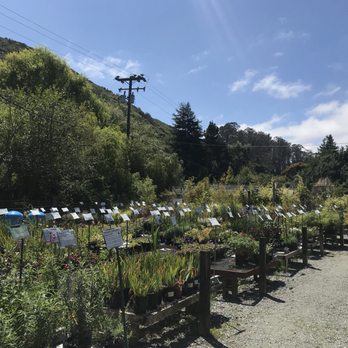 Half Moon Bay Nursery 275 Photos 170 Reviews Nurseries Photo Of Half Moon Bay Nursery Ca United States