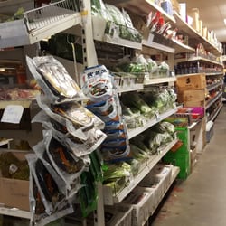 asian supermarket belfast Asian supermarket belfast