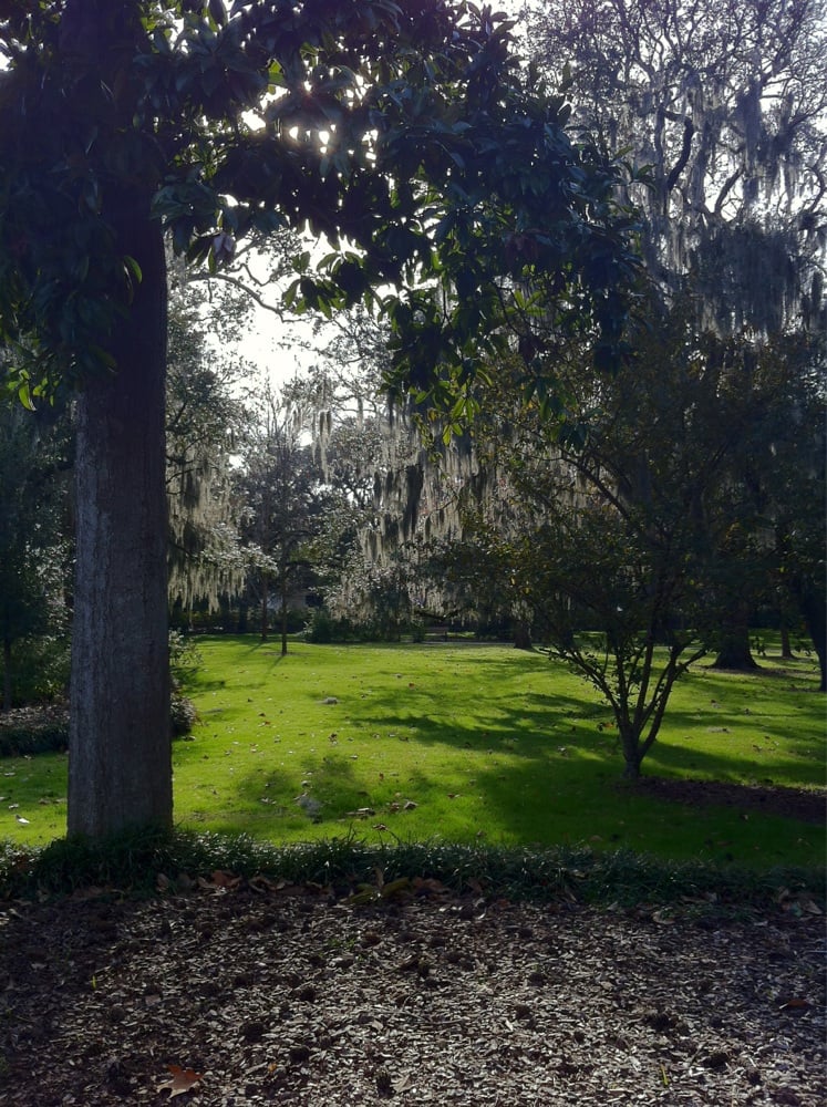 Best Restaurants Near Forsyth Park Savannah Best Restaurants Near Forsyth Park Savannah