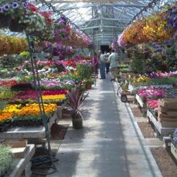 Turtle Creek Nursery Landscaping Nurseries Gardening 2449 Photo Of Turtle Creek Nursery Landscaping Owatonna Mn United States