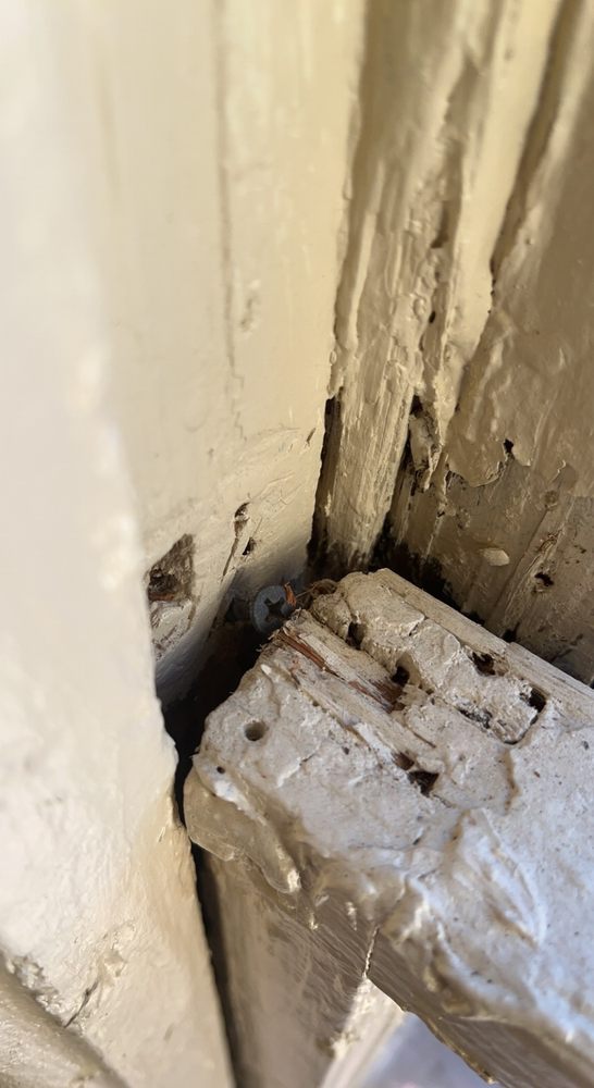 Cascade Senator Apartments