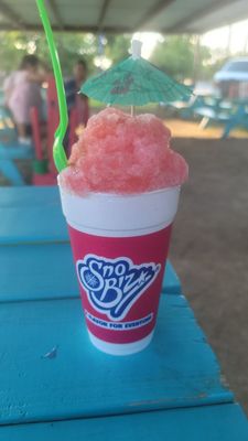 Sno Biz