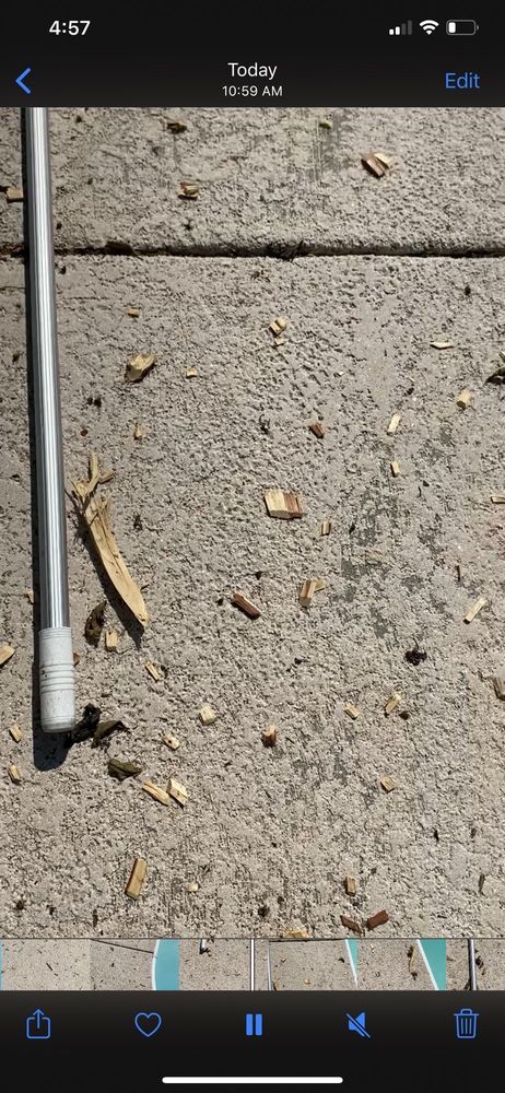 Trim Pro Tree & Landscaping