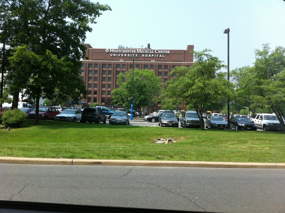Restaurants Near Westchester Medical Center Restaurants Near Westchester Medical Center
