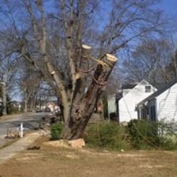 tarzan tree service service llc photo of tarzan tree service lawrenceville ga united states landscaping 1180 nestle trl lawrenceville tarzan tree service service llc photo of tarzan tree service lawrenceville ga united states landscaping 1180 nestle trl lawrenceville