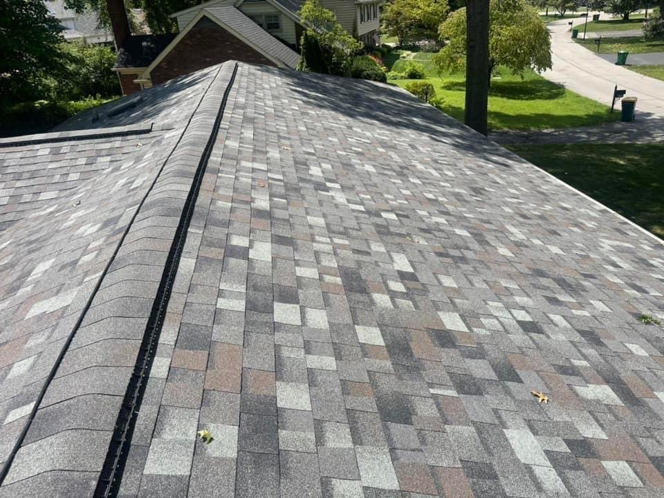 image of business JustInTime Roofing & Construction