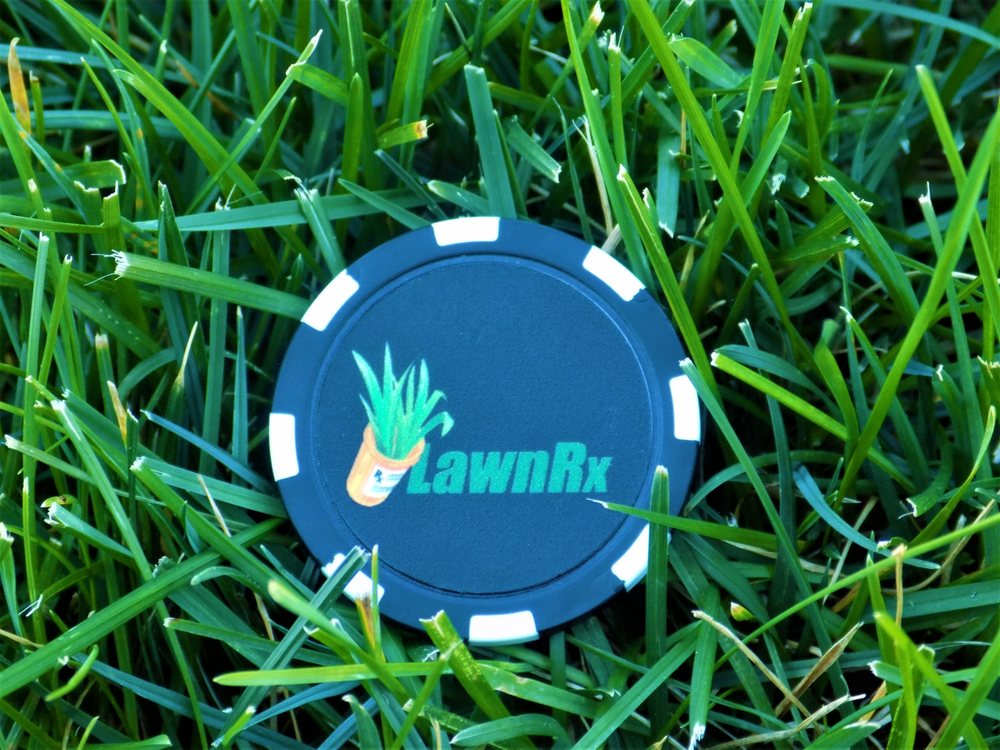 Lawn Rx
