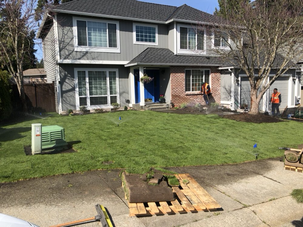 Solid Landscape Services