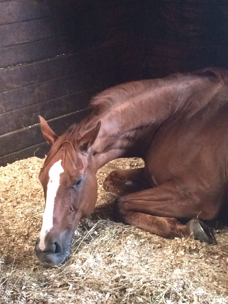 Bliss Nails & Spa Nail Salons 136 Main St, Irvington, NY Phone Number Yelp