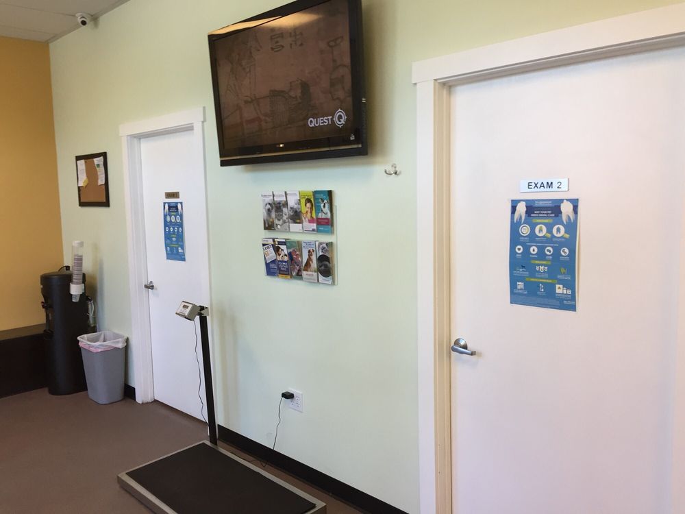 Mercer Street Veterinary Hospital