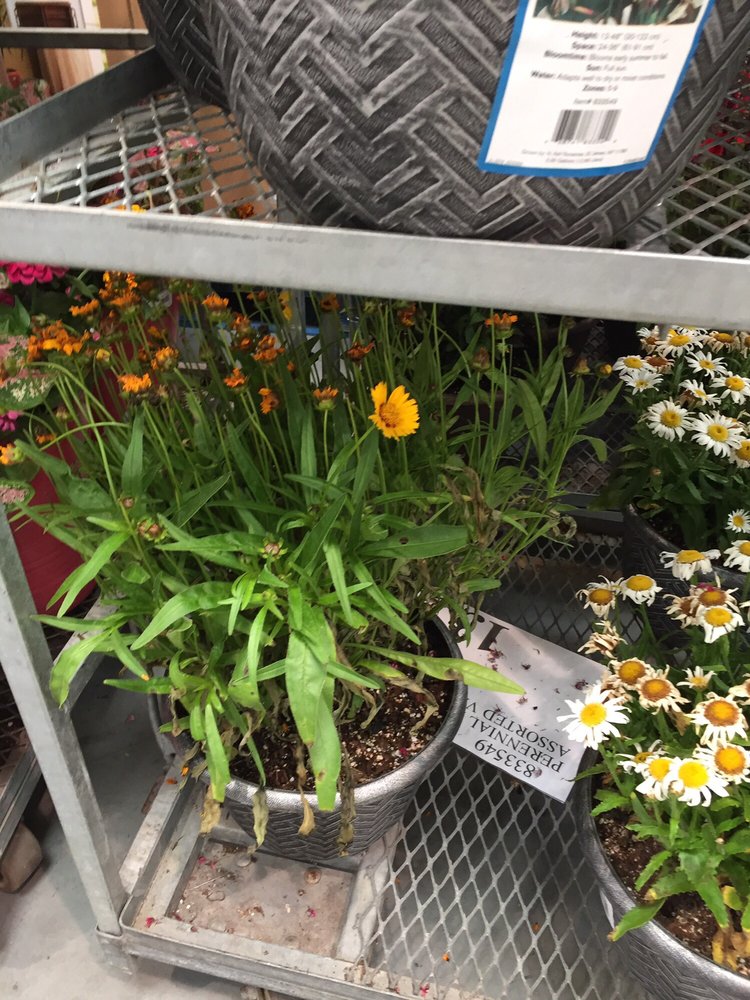 costco glen mills
