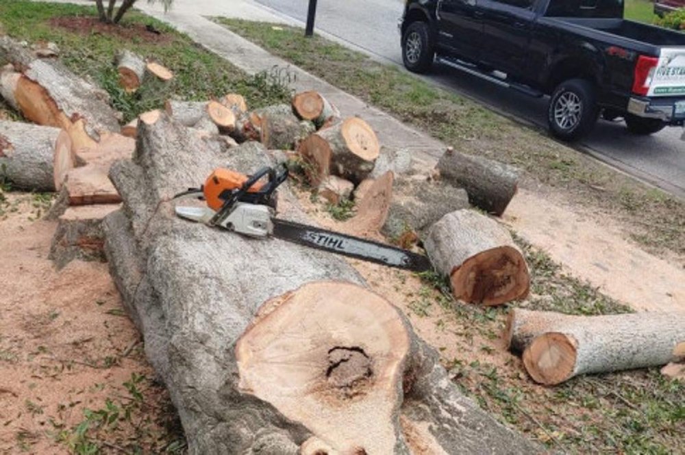 Five Star Tree Service