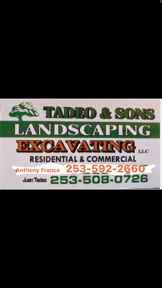 Tadeo & Sons Landscaping