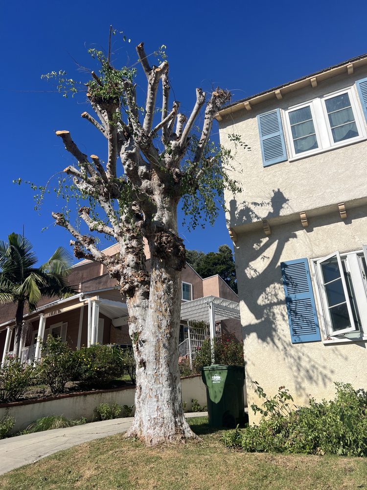 Evergreen Gardening Service 