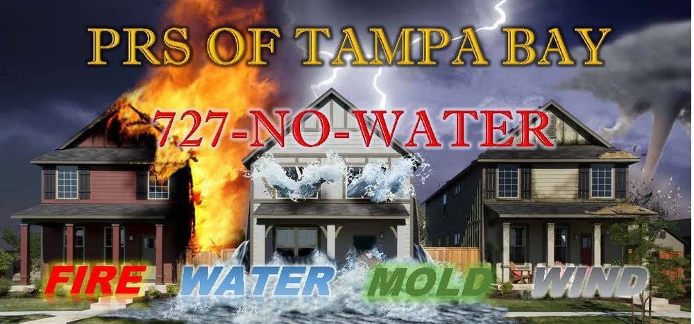 image of business Professional Restoration Services of Tampa Bay