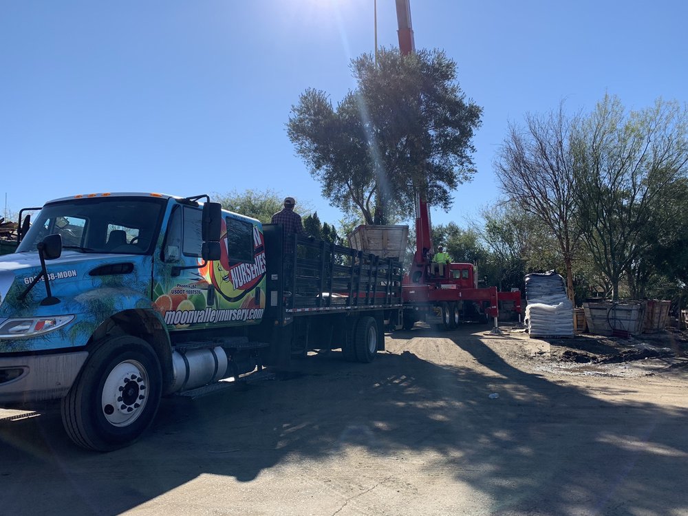 Moon Valley Nurseries 18047 N Tatum Blvd Phoenix Az 85032