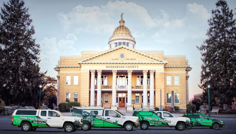 Noble Pest Solutions